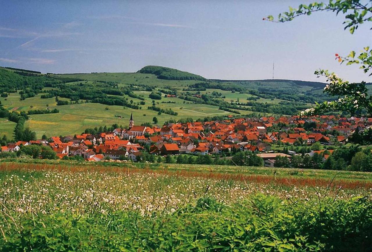 Rhoener Landhotel Haus Zur Wasserkuppe Ehrenberg  Kültér fotó