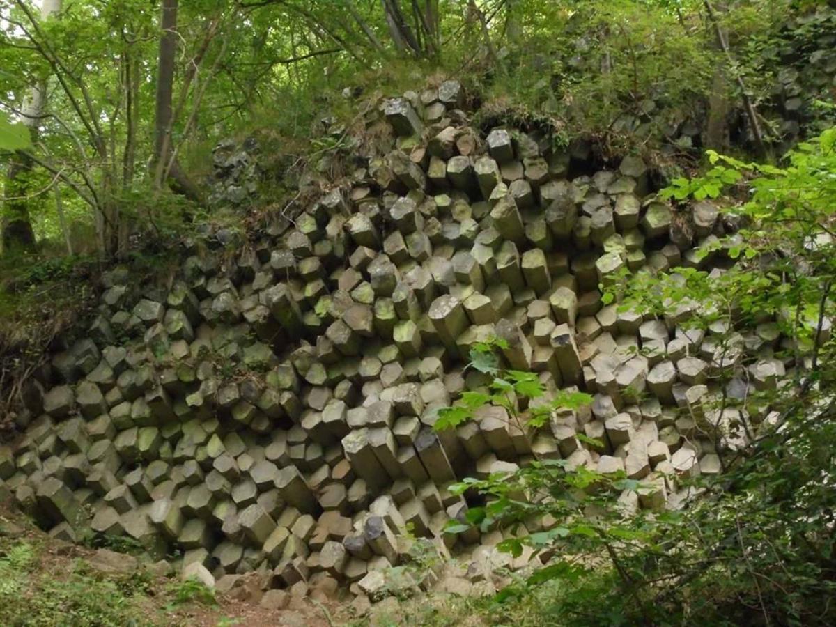 Rhoener Landhotel Haus Zur Wasserkuppe Ehrenberg  Kültér fotó