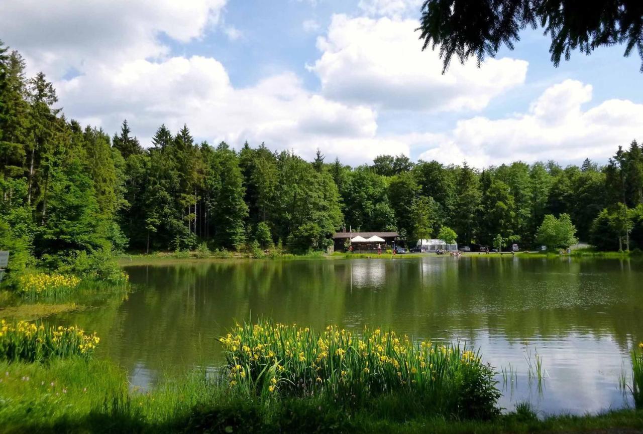 Rhoener Landhotel Haus Zur Wasserkuppe Ehrenberg  Kültér fotó