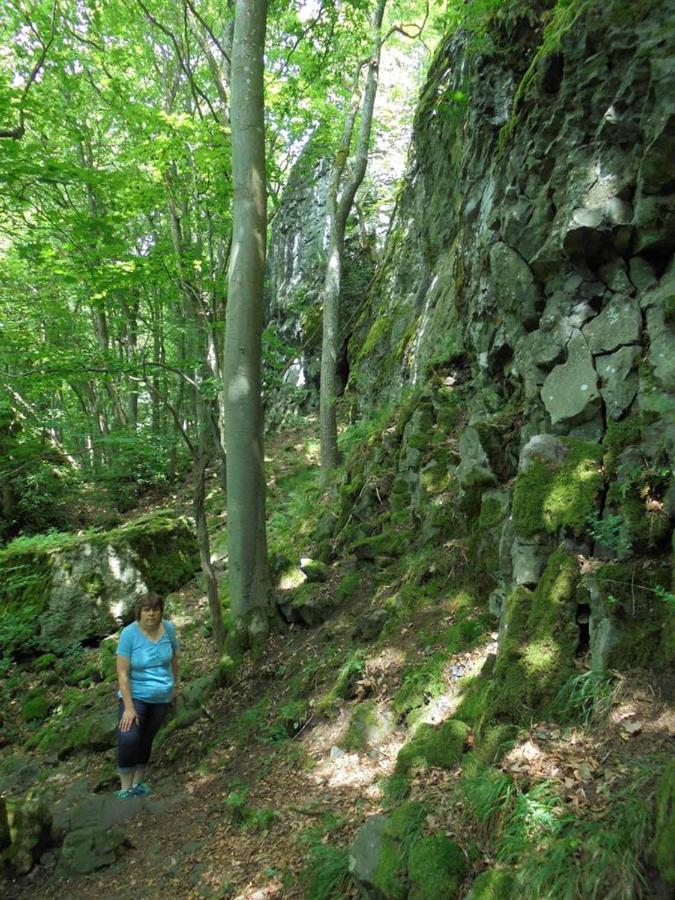 Rhoener Landhotel Haus Zur Wasserkuppe Ehrenberg  Kültér fotó